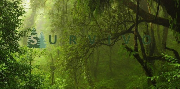 Survival Shop SURVIVO 6 survival shop schweiz 768x381