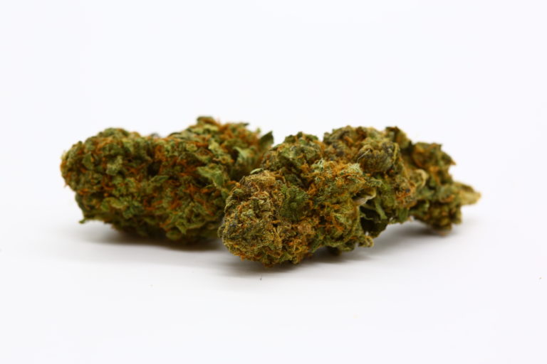 CBD Nutrition 9 6R6A6686 768x512