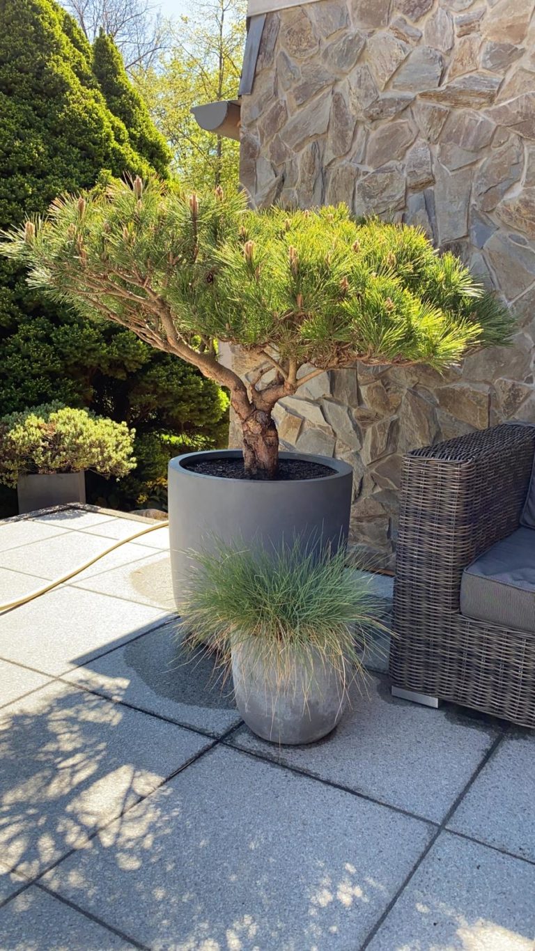 IMG 20210426 WA0000 768x1365