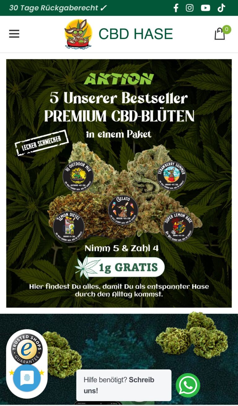 6218e62b 4d3b 455b 887a e3dc457328d9 768x1312