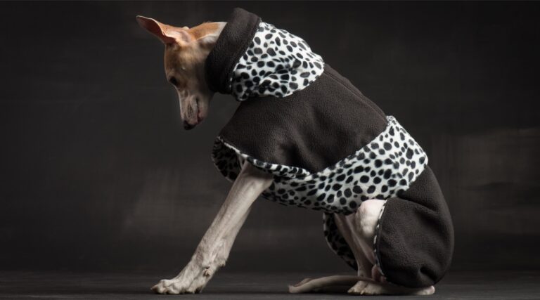 Dognate - Hundemode 7 fleece 768x427