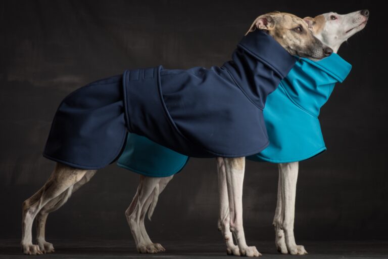 Dognate - Hundemode 6 winter 768x512