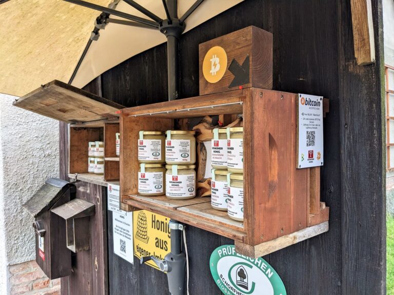 PXL 20230222 121848316a 768x576