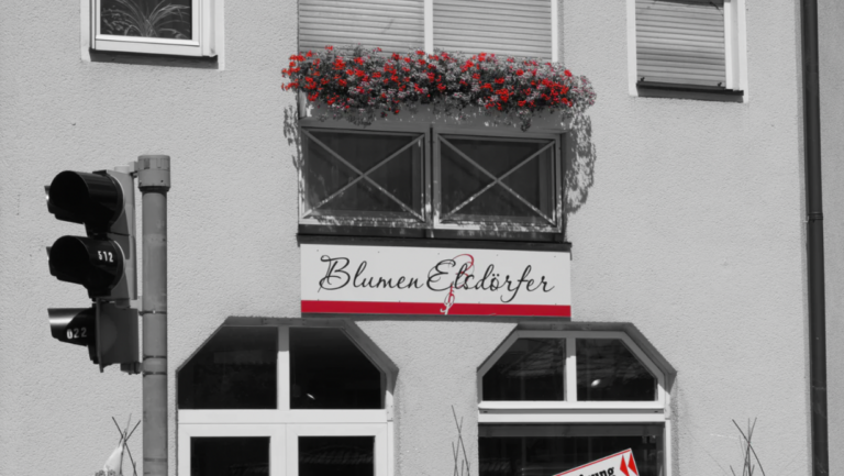 Blumen Elsdörfer 4 Ivory and Green Winter Photo Collage Facebook Cover 29 768x433