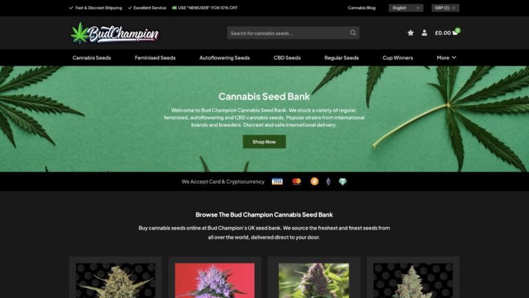 Bud Champion 6 Bildschirmfoto 2023 11 21 um 15.39.19 768x432