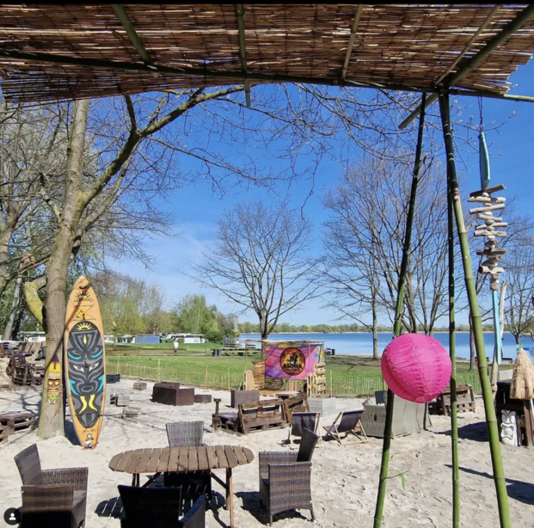 Aloha Erlichsee - Strandbar und SUP-Station 5 Screenshot 2024 06 08 at 08.36.36 768x759