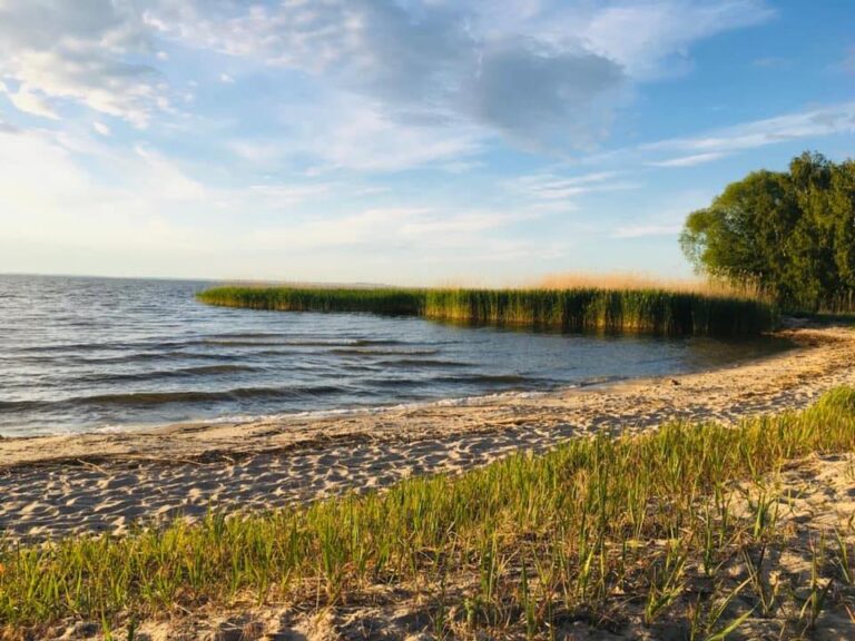 305208417 432260238886616 1230555456767516160 n 768x576