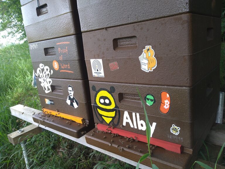 BeeTC.at – Summherum Bitcoin Honig 7 53805517816 ad9e1c85e0 k 768x576