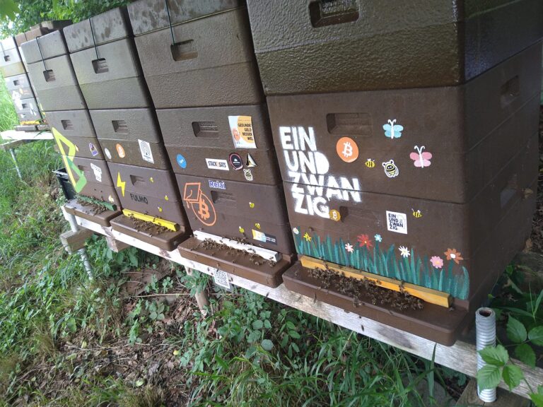 BeeTC.at – Summherum Bitcoin Honig 6 53805846819 acb191989c k 768x576