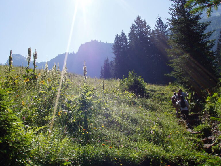 Wandern Weg zur Kemptner Hutte 768x576