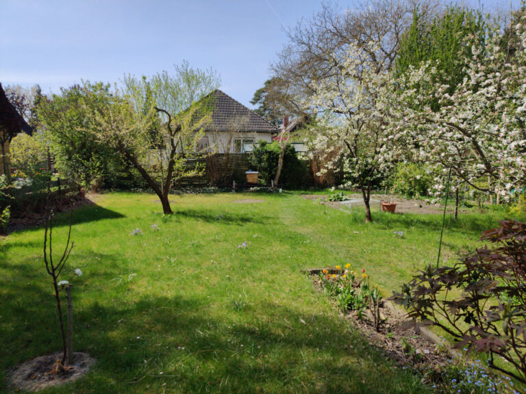 Steinberg-Imker: Honig aus dem Berliner Norden 4 IMG 20220429 125457b 768x576