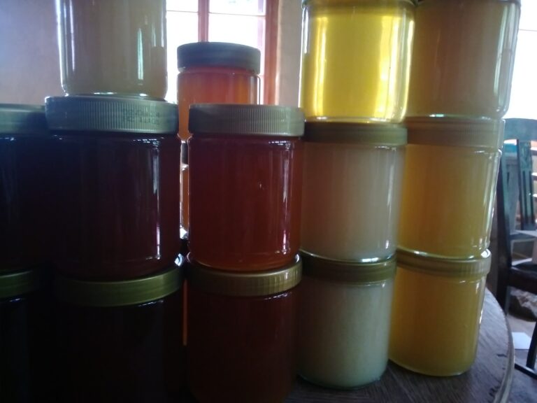 IMG 2024 07 27 11 30 14 942 768x576