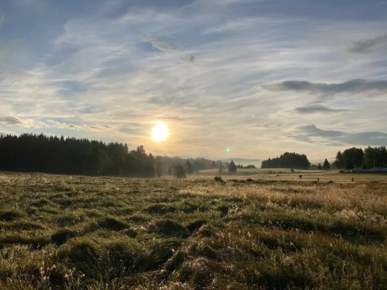 Gasthof Strohmaier 8 Moorlandschaft Haidmuehle 768x576