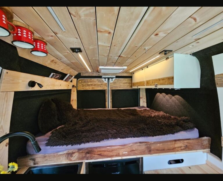 Südtirolvans - Individueller Camperausbau 5 1000015846 768x624