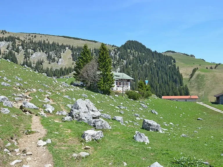 Schonfeldhutte Sommer 768x576