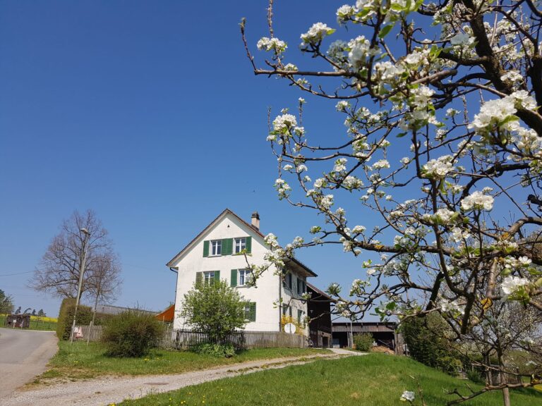 Taggenberg Beef 7 Taggenberg Hof 768x576