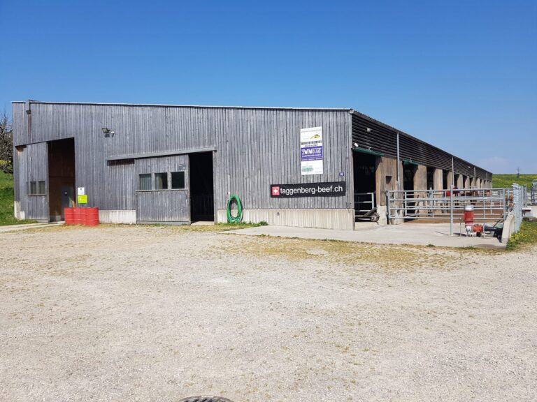 Taggenberg Beef 8 Taggenberg Hof Stall 768x576