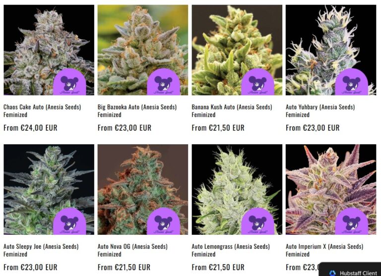 MySeeds – Cannabissamen in Deutschland mit Bitcoin kaufen 4 anesia seeds cannabis samen 768x557