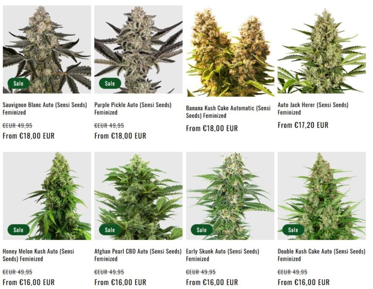 MySeeds – Cannabissamen in Deutschland mit Bitcoin kaufen 6 autoflowering cannabissamen kaufen 768x596