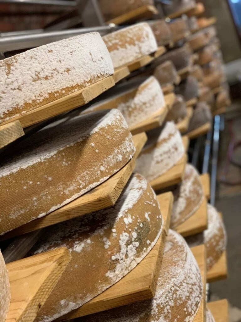 d'r Senn Allgäuer Käsekunst 5 1000007391 768x1024